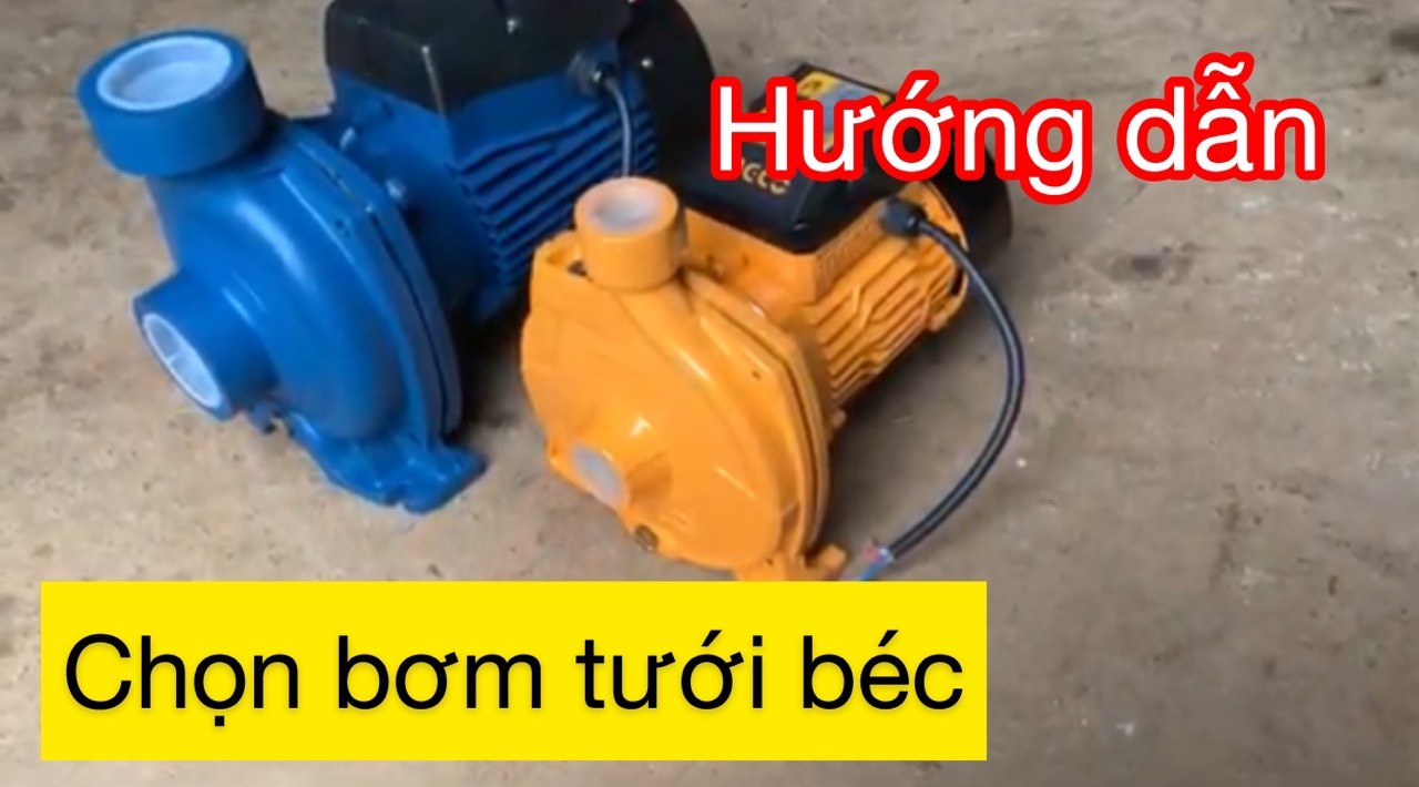 Hướng dẫn chọn xem mô tơ bơm nước phù hợp cho béc tưới phun mưa