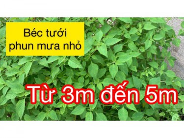 Các loại béc tưới phun mưa nhỏ cho vườn rau - bán kính 3 đến 5 mét