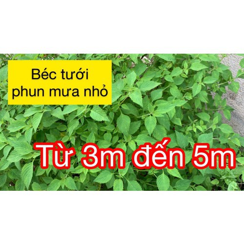 Các loại béc tưới phun mưa nhỏ cho vườn rau - bán kính 3 đến 5 mét